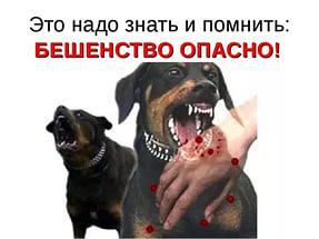 БЕШЕНСТВО