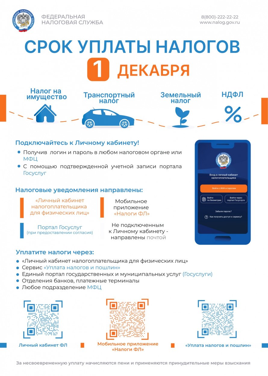 Срок уплаты налогов - 1 декабря!